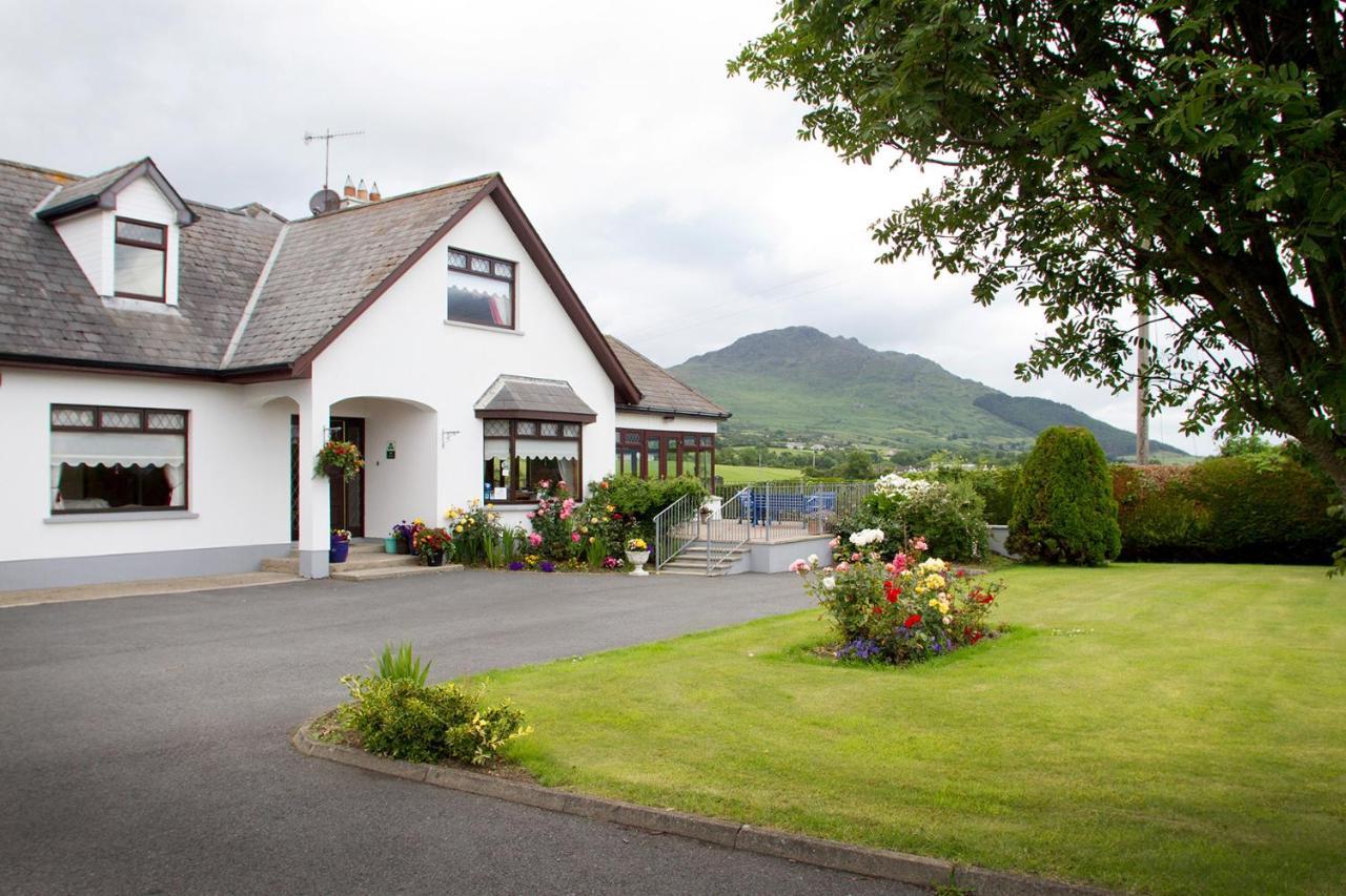 Mourneview B & B Карлингфорд Екстериор снимка