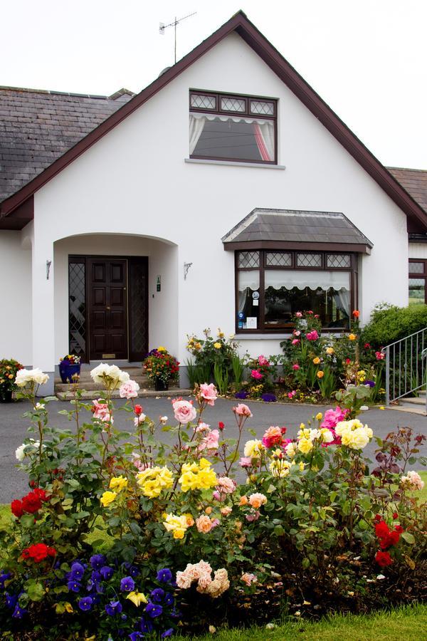 Mourneview B & B Карлингфорд Екстериор снимка